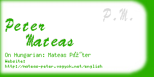 peter mateas business card